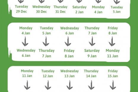 Image of Christmas 2020 Waste collection dates